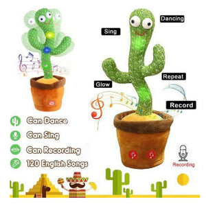 Dancing Cactus