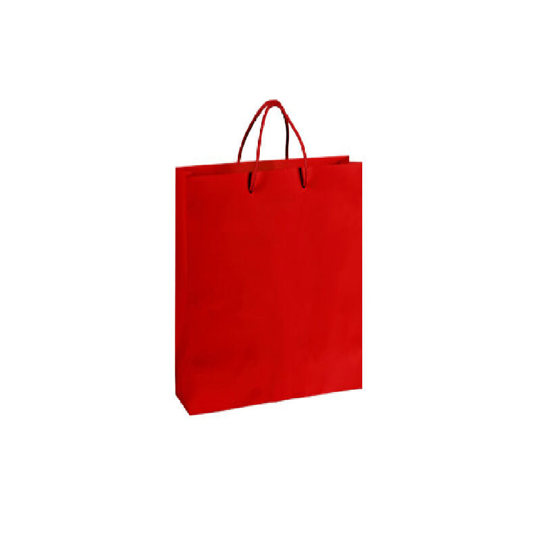 Gift Bag  (4