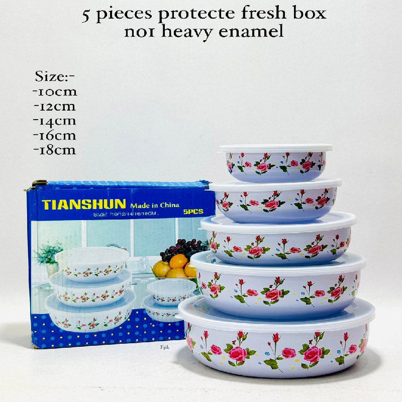 5 PCS Food Containers