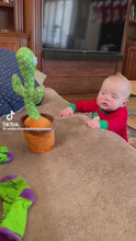 Load and play video in Gallery viewer, Dancing Cactus
